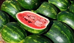 吃瓜素材免费视频下载网站,吃瓜素材网站大汇总