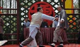 徽骆驼电视剧在线观看,传奇人生，砥砺前行